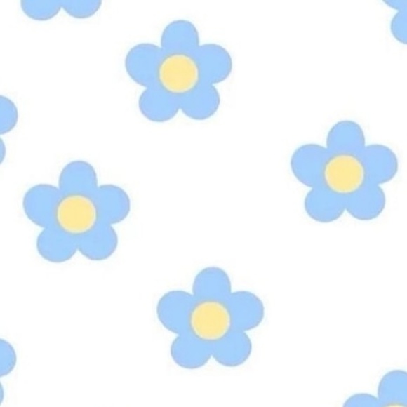 tierraridener